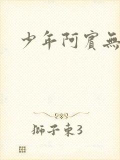 少年阿宾无删