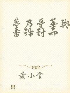 梦乃爱华与黑人番号封面