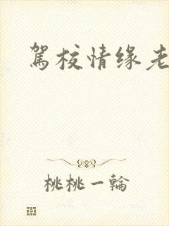 驾校情缘老赵封面