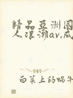 精品亚洲国产成人浪潮av,成人激