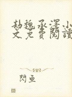 劫魏承泽小说全文免费阅读