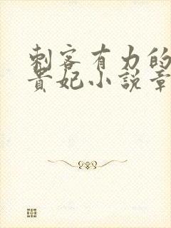 刺客有力的撞着贵妃小说章节