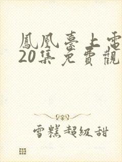 凤凰台上电视剧20集免费观看封面