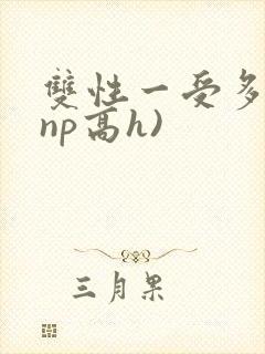 双性一受多攻(np高h)