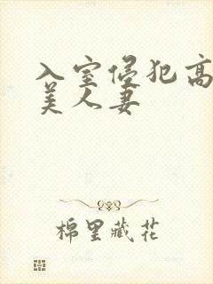 入室侵犯高贵的美人妻封面