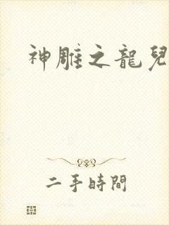 神雕之龙儿别传封面