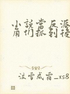 小说当反派被主角们抓到后