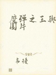 魔弹之王与战姬图片封面