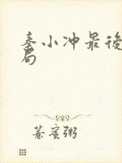 秦小冲最后的结局封面