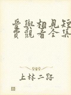 爱与相见短剧免费观看全集高清