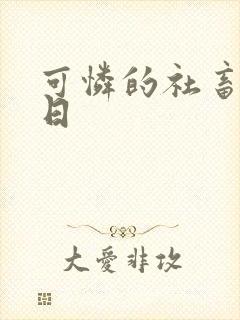 可怜的社畜东度日