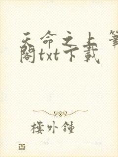 天命之上 笔趣阁txt下载