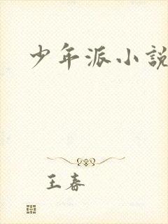 少年派小说