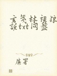 玄笺林视狼顾小说txt网盘