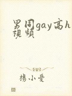 男同gay高h视频