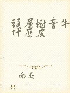 头层树膏牛皮是什么皮