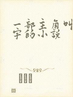 一部主角叫龙天宇的小说