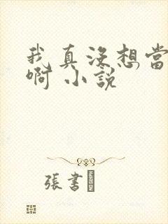 我真没想当皇帝啊 小说封面