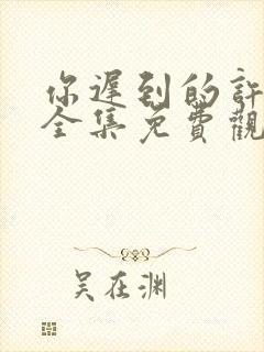 你迟到的许多年全集免费观看