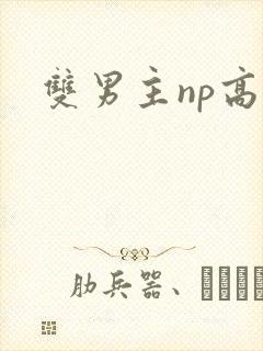 双男主np高h