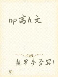 np高h文