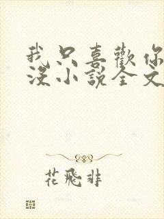 我只喜欢你的人没小说全文免费阅读