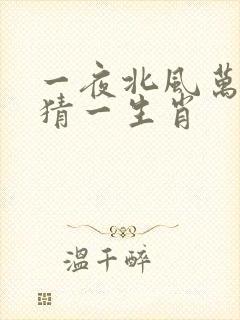 一夜北风万花开猜一生肖