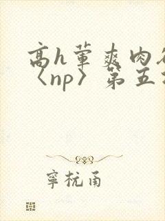 高h荤爽肉欲文〈np〉第五次封面