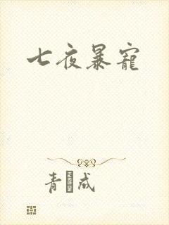 七夜暴宠封面