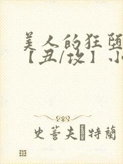 美人的狂堕遭遇【丑/攻】小说