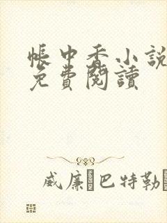 帐中香小说全文免费阅读封面