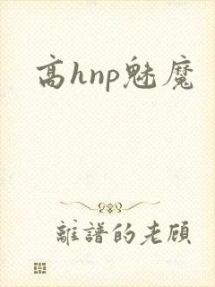 高hnp魅魔封面