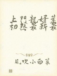 上门龙婿叶辰萧初然最新最快