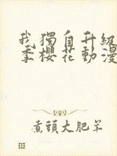 我独自升级第二季樱花动漫在线观看