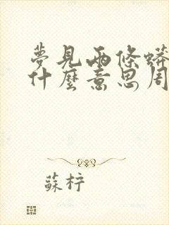 梦见两条蟒蛇是什么意思周公解梦