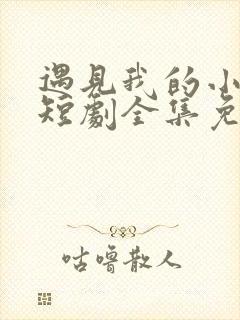 遇见我的小欢喜短剧全集免费观看