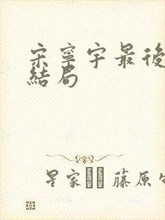 宋宁宇最后什么结局封面