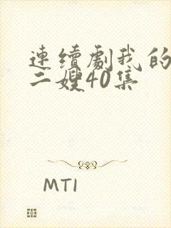 连续剧我的二哥二嫂40集