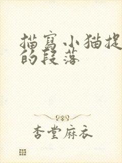 描写小猫捉老鼠的段落