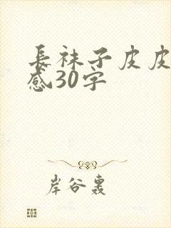 长袜子皮皮读后感30字