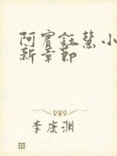 阿宾钰慧小说最新章节