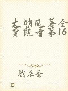 大明风华全集免费观看第16集