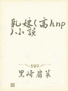 乳娘(高hnp)小说