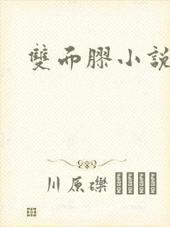 双面胶小说封面