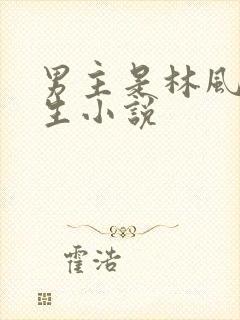 男主是林风的重生小说封面
