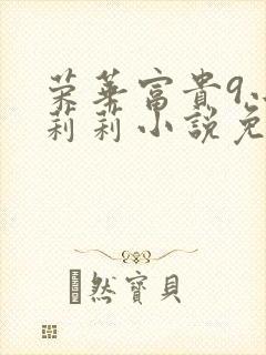 荣华富贵9小王莉莉小说免费阅读封面