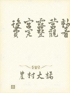 后宫露营动漫免费完整观看