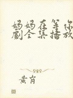 妈妈在等你电视剧全集播放免费观看封面