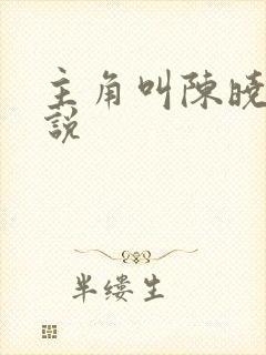 主角叫陈晓的小说