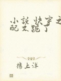 小说 快穿之女配又跪了